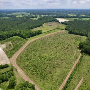 Photo #3 of Powell Rd., Green Sea, SC 69.0 acres