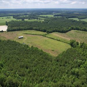 Photo #9 of Powell Rd., Green Sea, SC 69.0 acres