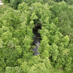 Photo #49 of Powell Rd., Green Sea, SC 69.0 acres