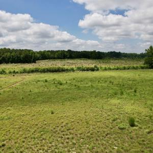 Photo #30 of Powell Rd., Green Sea, SC 69.0 acres