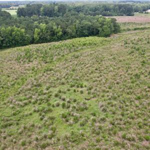 Photo #19 of Powell Rd., Green Sea, SC 69.0 acres
