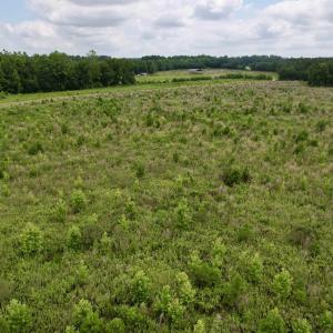 Photo #38 of Powell Rd., Green Sea, SC 69.0 acres