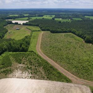Photo #6 of Powell Rd., Green Sea, SC 69.0 acres