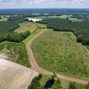 Photo #5 of Powell Rd., Green Sea, SC 69.0 acres