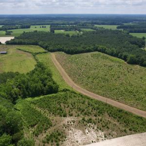 Photo #7 of Powell Rd., Green Sea, SC 69.0 acres