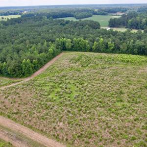 Photo #50 of Powell Rd., Green Sea, SC 69.0 acres