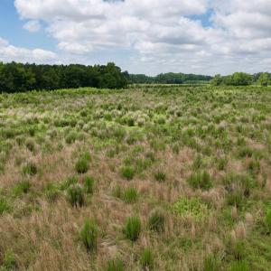 Photo #24 of Powell Rd., Green Sea, SC 69.0 acres