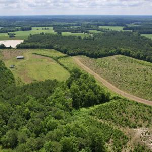 Photo #8 of Powell Rd., Green Sea, SC 69.0 acres