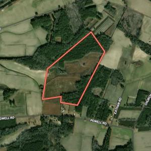 Photo #56 of Powell Rd., Green Sea, SC 69.0 acres
