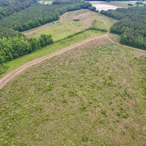 Photo #46 of Powell Rd., Green Sea, SC 69.0 acres