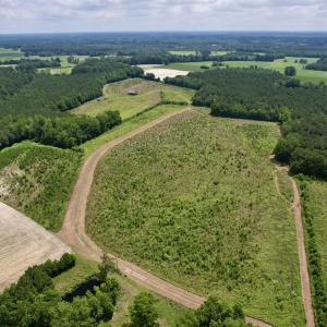 Photo #4 of Powell Rd., Green Sea, SC 69.0 acres