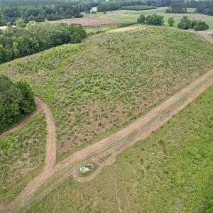 Photo #37 of Powell Rd., Green Sea, SC 69.0 acres