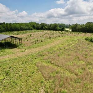 Photo #32 of Powell Rd., Green Sea, SC 69.0 acres