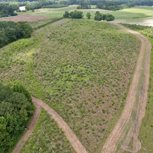 Photo #18 of Powell Rd., Green Sea, SC 69.0 acres