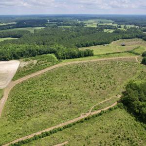 Photo #1 of Powell Rd., Green Sea, SC 69.0 acres
