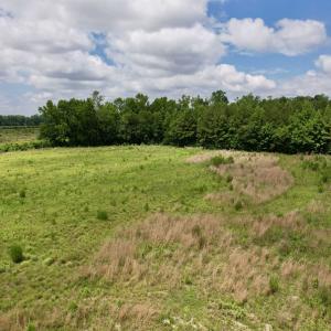 Photo #29 of Powell Rd., Green Sea, SC 69.0 acres