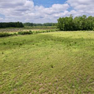 Photo #53 of Powell Rd., Green Sea, SC 69.0 acres