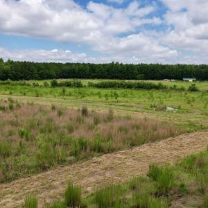 Photo #44 of Powell Rd., Green Sea, SC 69.0 acres