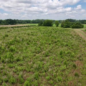Photo #42 of Powell Rd., Green Sea, SC 69.0 acres