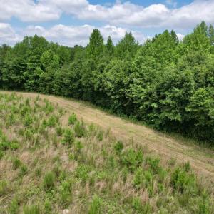 Photo #25 of Powell Rd., Green Sea, SC 69.0 acres