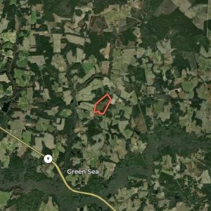 Photo #58 of Powell Rd., Green Sea, SC 69.0 acres