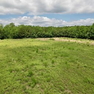 Photo #49 of Powell Rd., Green Sea, SC 69.0 acres
