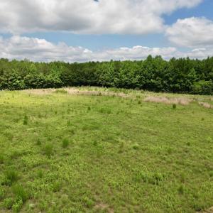 Photo #52 of Powell Rd., Green Sea, SC 69.0 acres