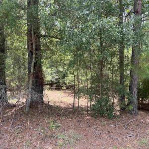 Photo #2 of TBD Ervin Road Ervin Rd., Andrews, SC 1.3 acres
