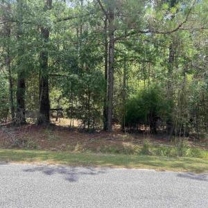 Photo #1 of TBD Ervin Road Ervin Rd., Andrews, SC 1.3 acres