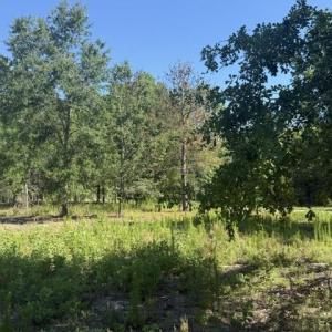 Photo #4 of 491 Crow Ln., Pageland, SC 60.0 acres