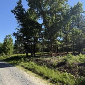 Photo #1 of 491 Crow Ln., Pageland, SC 60.0 acres