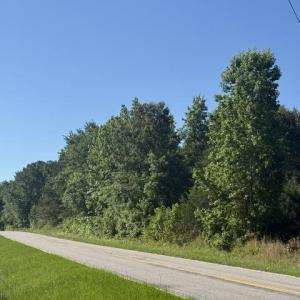 Photo #2 of 491 Crow Ln., Pageland, SC 60.0 acres