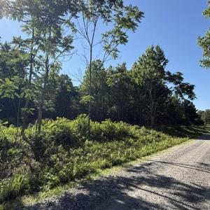 Photo #8 of 491 Crow Burk Rd, Pageland, SC 60.0 acres