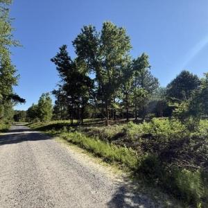 Photo #9 of 491 Crow Burk Rd, Pageland, SC 60.0 acres