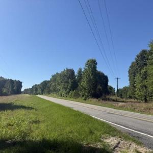 Photo #3 of 491 Crow Burk Rd, Pageland, SC 60.0 acres