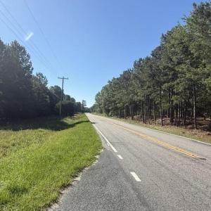 Photo #6 of 491 Crow Burk Rd, Pageland, SC 60.0 acres