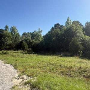 Photo #7 of 491 Crow Burk Rd, Pageland, SC 60.0 acres