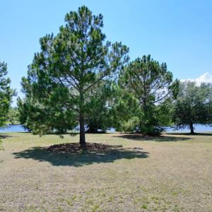 Photo #15 of 1113 Glossy Ibis Dr., Conway, SC 0.7 acres