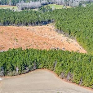 Photo #6 of 4789 Grainger Circle, Green Sea, SC 27.5 acres