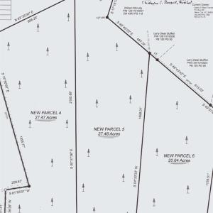 Photo #4 of 4789 Grainger Circle, Green Sea, SC 27.5 acres