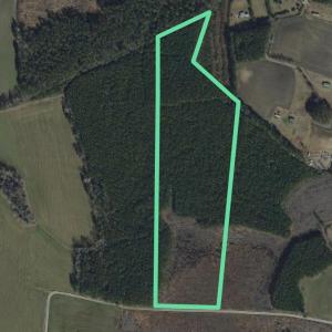 Photo #1 of 4789 Grainger Circle, Green Sea, SC 27.5 acres