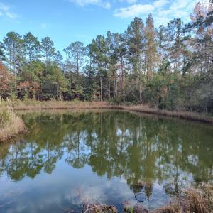 Photo #5 of 1804 Old Town Ave., Georgetown, SC 0.3 acres