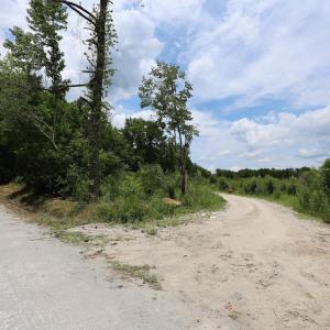 Photo #4 of Lot A Fries Bay Rd., Loris, SC 27.1 acres