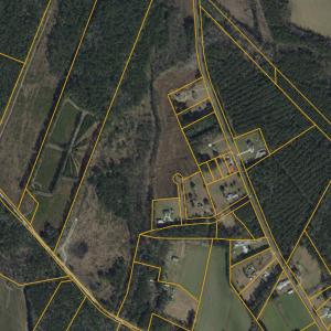 Photo #9 of Lot A Fries Bay Rd., Loris, SC 27.1 acres