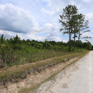 Photo #7 of Lot A Fries Bay Rd., Loris, SC 27.1 acres