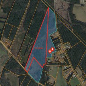 Photo #1 of Lot A Fries Bay Rd., Loris, SC 27.1 acres