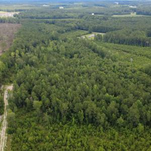Photo #3 of Lot A Fries Bay Rd., Loris, SC 27.1 acres