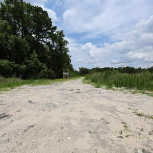 Photo #5 of Lot A Fries Bay Rd., Loris, SC 27.1 acres
