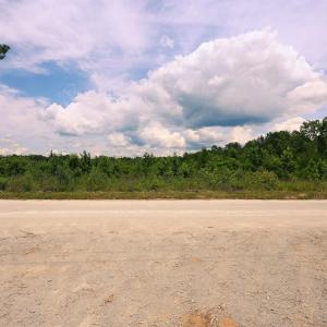 Photo #5 of Lot B Fries Bay Rd., Loris, SC 6.8 acres