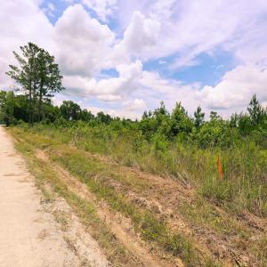 Photo #6 of Lot B Fries Bay Rd., Loris, SC 6.8 acres